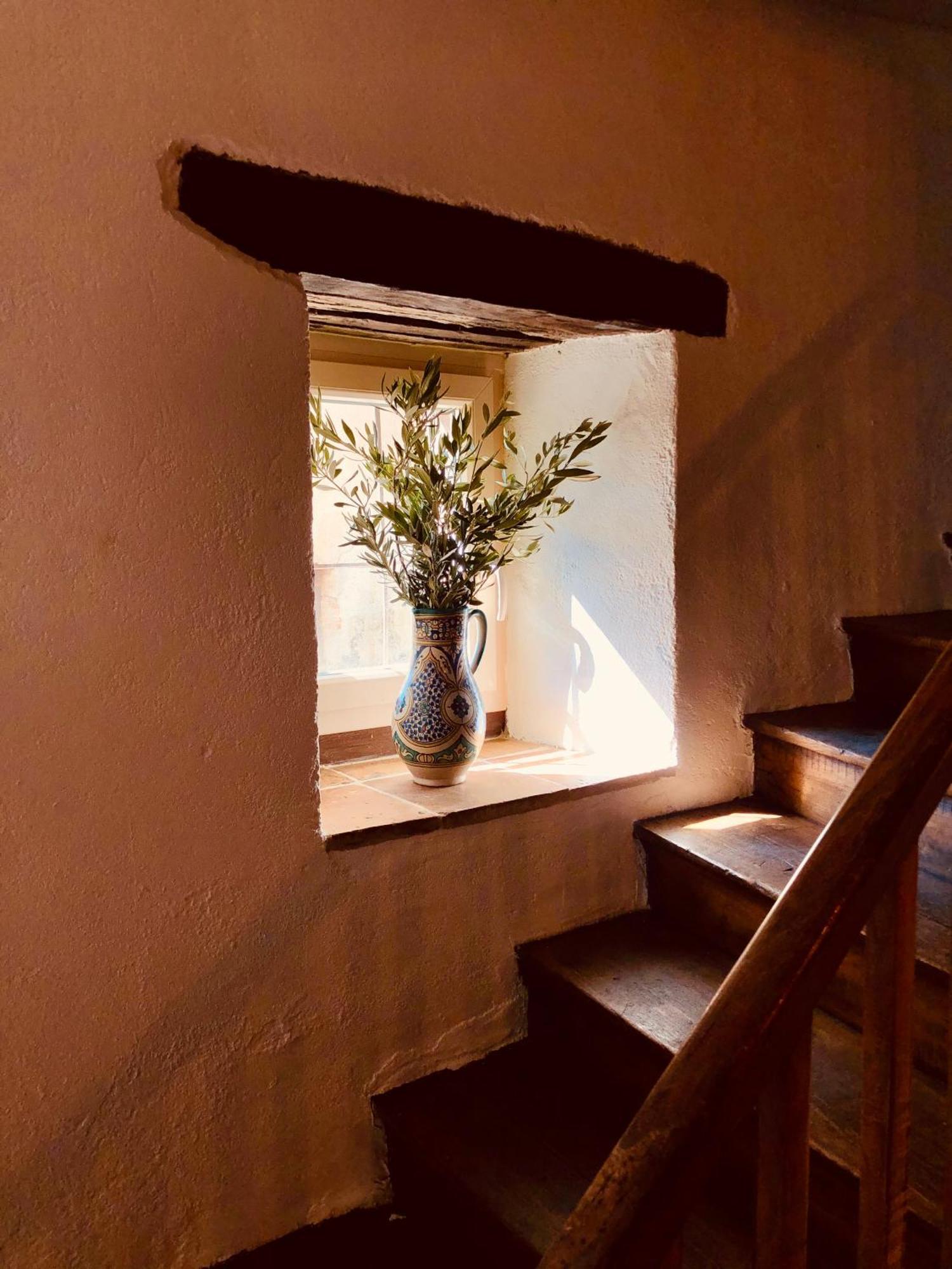 Maison De L'Aurausse Les Cabannes  Εξωτερικό φωτογραφία